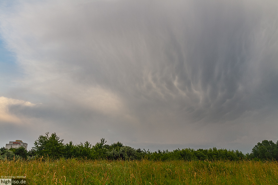 Bild