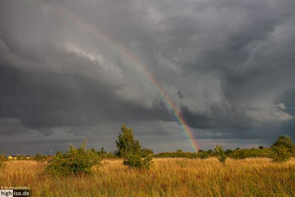Regenbogen vor grauem Himmel