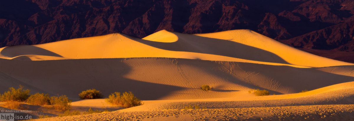 Mesquite Flat Sand Dunes - Panorama