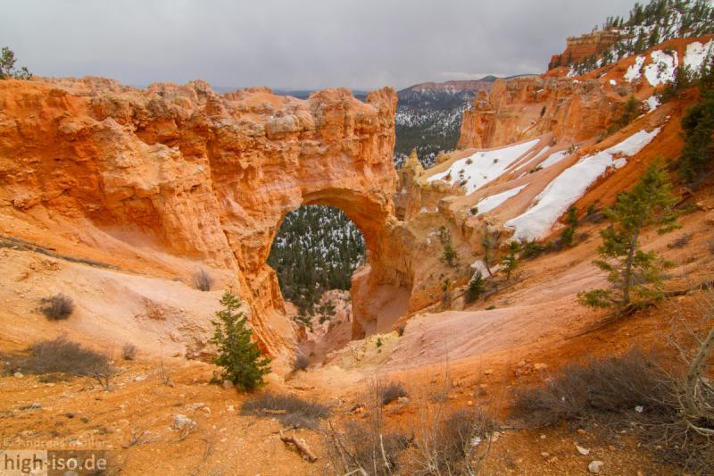 Natural Bridge