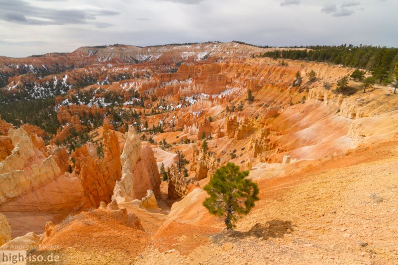 Schnee am Bryce Canyon