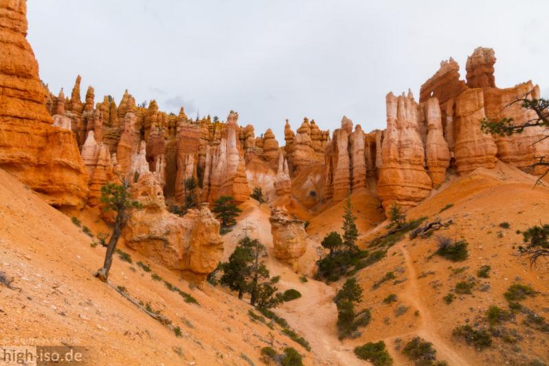 Zinnen im Bryce Canyon