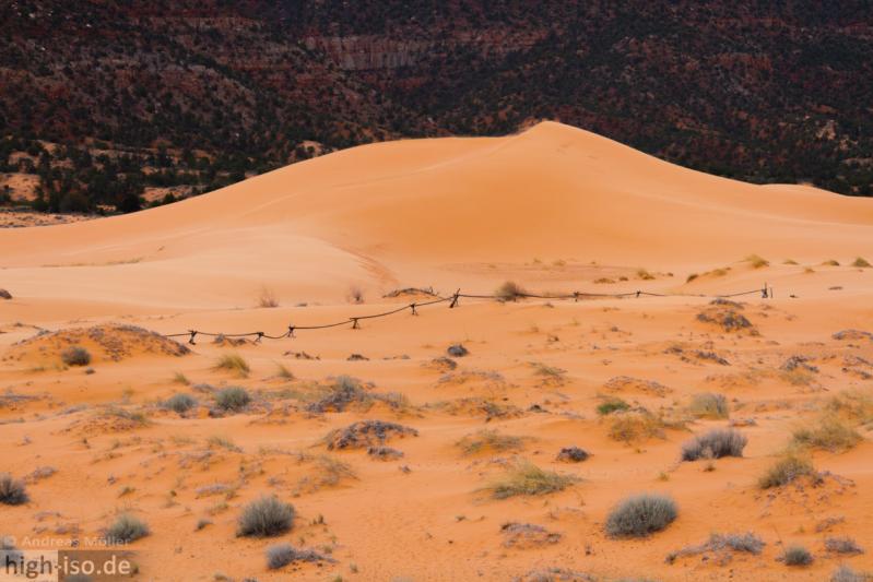 Coral Pink Sand Dunes