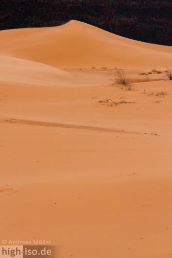 Coral Pink Sand Dunes