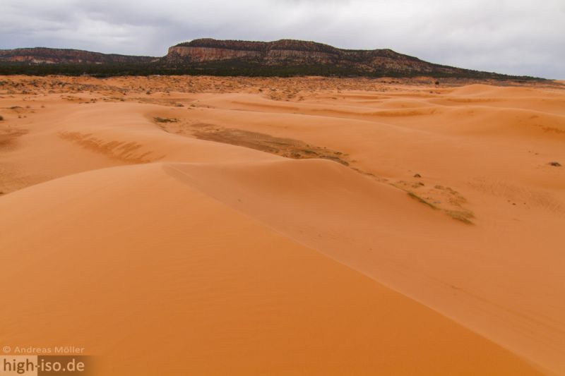 Sand Dünen