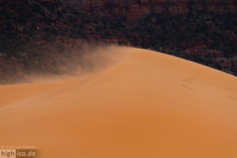 Wind an den Coral Pink Sand Dunes