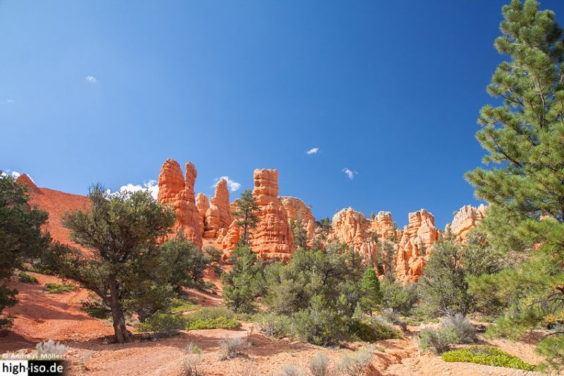 Red Canyon